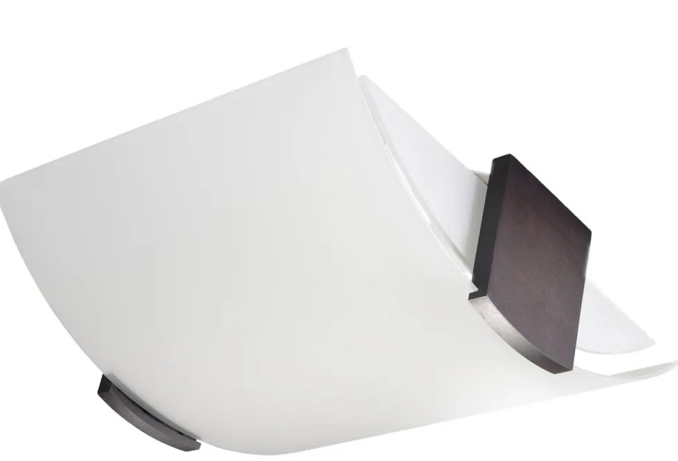 Deckenspot EMILIO - 2x E27 Fassung - max. 2x60W - exkl. LED's