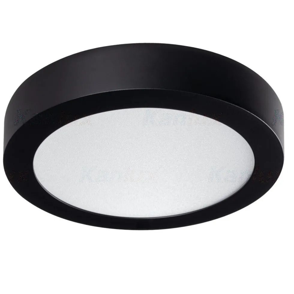 LED Deckenleuchte Schwarz CARSA 18W - Lichtfarbe optional