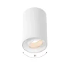 LED Deckenspot CHLOE LENS - 1x GU10 Fassung - Weiß matt