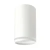 LED Deckenspot CHLOE RING - 1x GU10 Fassung - Weiß matt