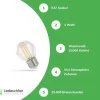 LED Fadenlampe G45 - E27 Sockel - 1W Filament - 3000K Warmweiß