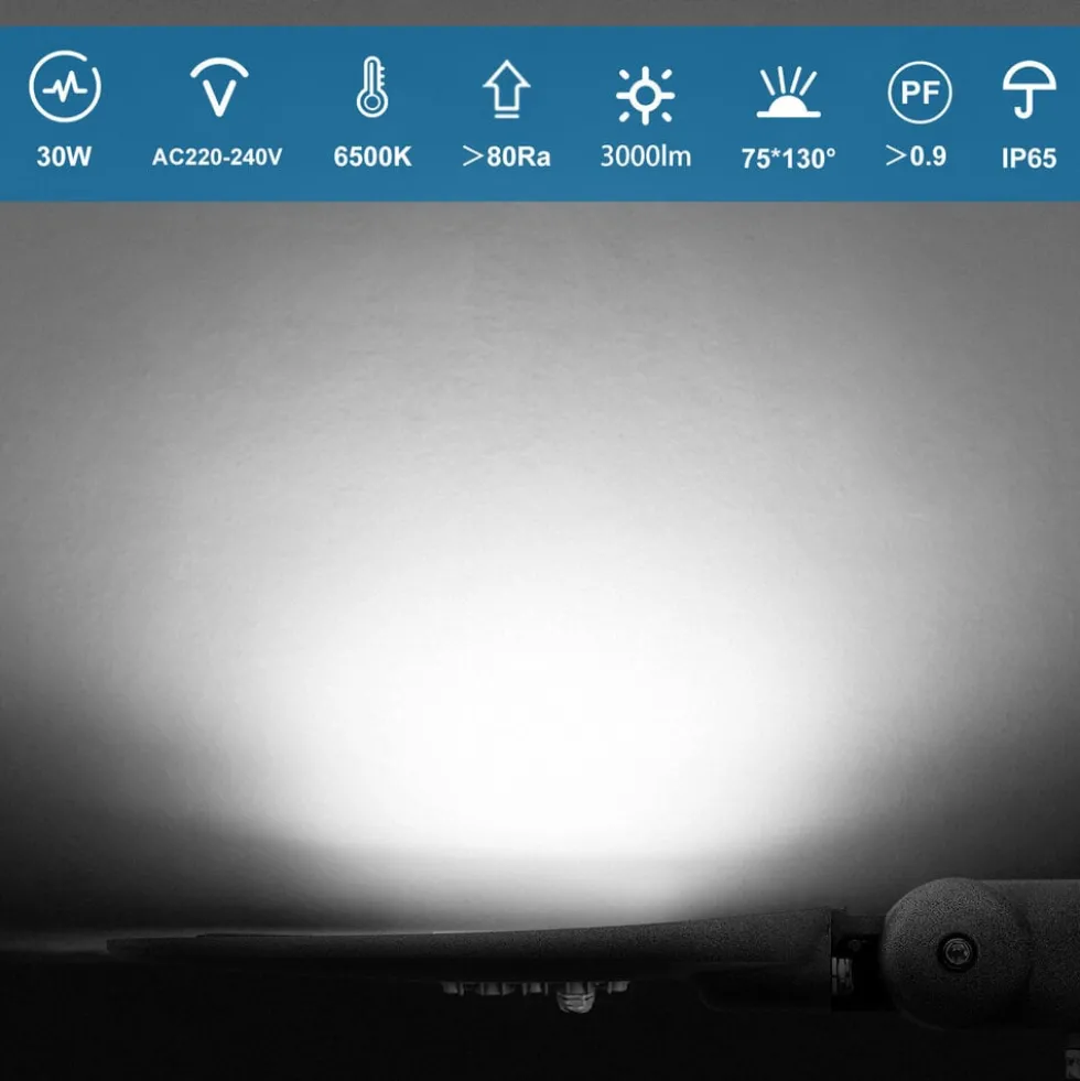 LED Straßenlaterne IP65 - 30W 2550 Lumen - 6500K Tageslichtweiß