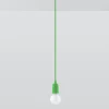 Pendelleuchte DIEGO 1 Grün - 1x E27 Fassung - max. 60W - exkl. LED's